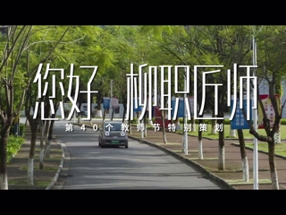 您好，柳职匠师